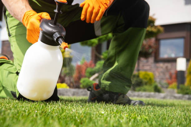 Wildlife Control Services in Daly City, CA