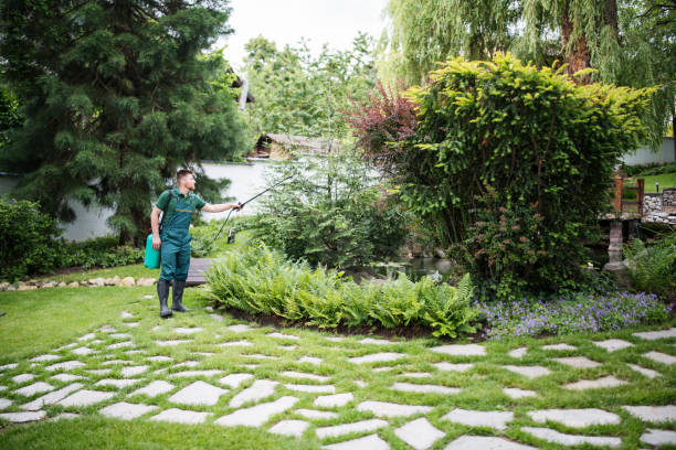 Bird Control in Daly City, CA