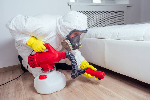 Best Ant Control Services  in Daly City, CA