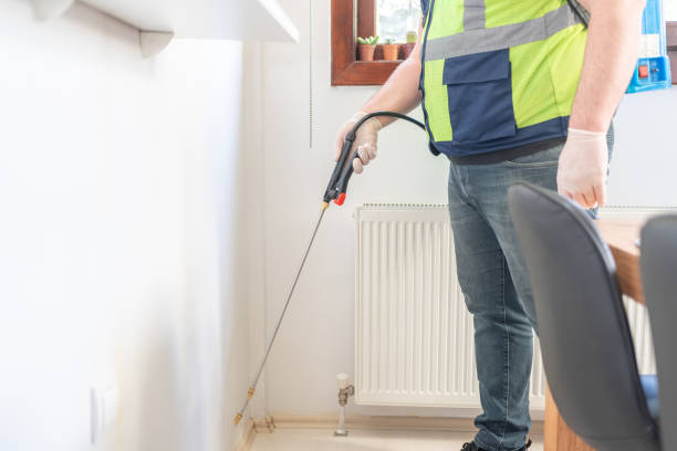 Trusted Daly City, CA Pest Control Experts