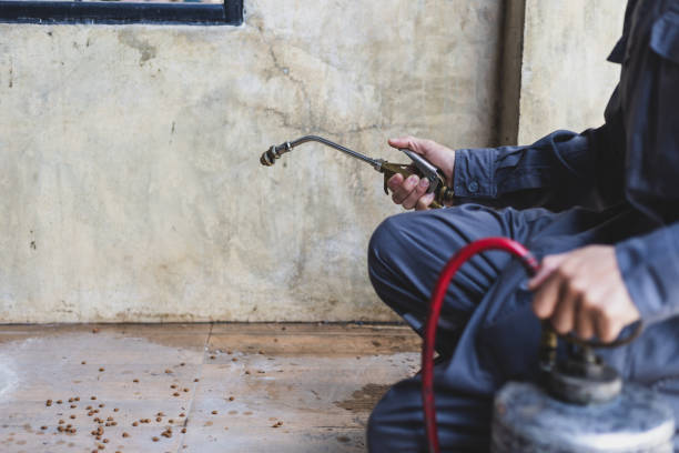 Best Pest Inspection Near Me  in Daly City, CA