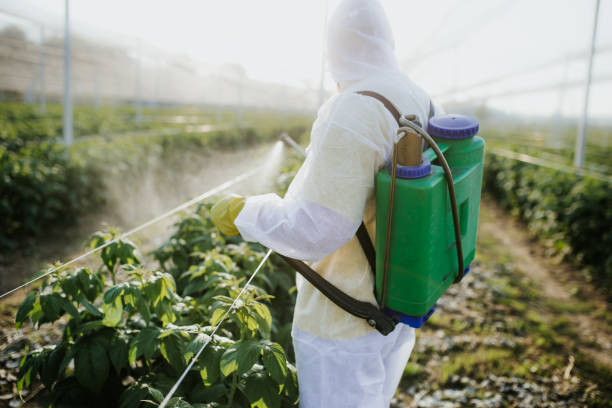 Best Pest Control for Homes  in Daly City, CA